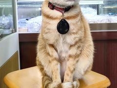 -顺记冰室(宝华路店)