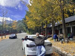 -洛阳白云山景区