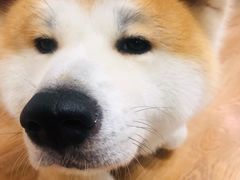 -YCHL Studios健身工作室(市二宫店)