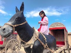 -镇北堡西部影城