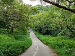 -马峦山郊野公园