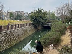 -神仙树公园