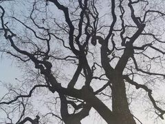 -红嫂家乡旅游区