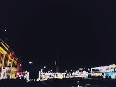 -more than meow吴止猫主题餐厅(承德 中船汇店)