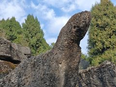 -寻龙山风景旅游区