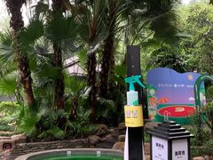 -融汇温泉