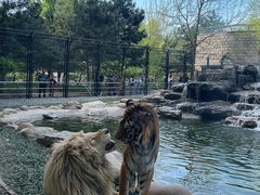 -北京野生动物园