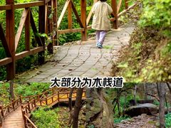-大岭沟猕猴桃谷风景区