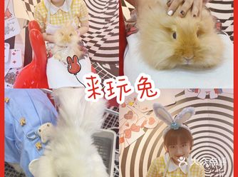 杭州探店｜来玩兔呀！兔兔这么可爱～