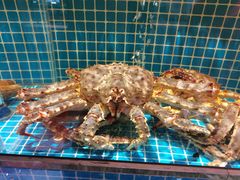 -庆赫隆融合菜馆(群力店)