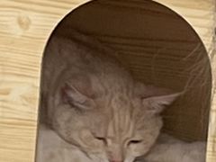 -小时光咖啡馆(北锣鼓巷店)