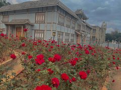 -玫瑰海岸文化旅游度假区