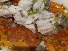 清蒸桂花鱼-顺风山庄(水濂山店)