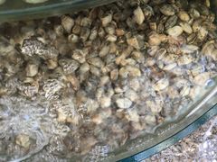-晓伟海鲜家常菜