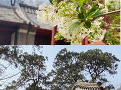 -北京上方山国家森林公园