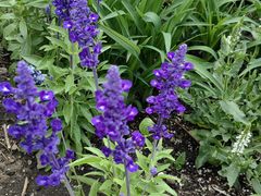 -国家植物园南园