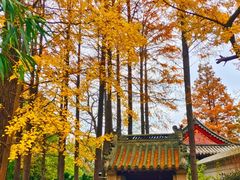 -青岛崂山太清宫