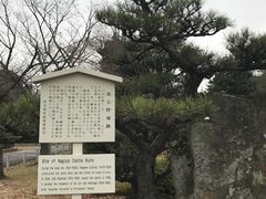 -名古屋城
