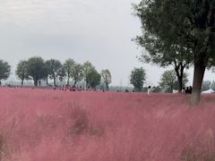 -汉长安城未央宫国家考古遗址公园