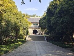 -灵谷景区