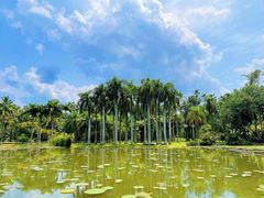 -中国科学院西双版纳热带植物园