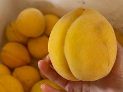 -小六农家乐(崇明西沙湿地店)