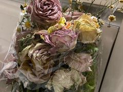 -中环花鸟鱼虫市场
