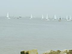 -上海吴淞炮台湾国家湿地公园