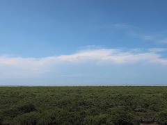 -北海金海湾红树林生态旅游区