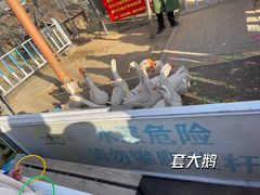 -河北村民俗体验园