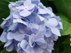 -三凤酒家·百年无锡菜(清扬茂业店)