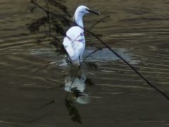 -水濂山森林公园
