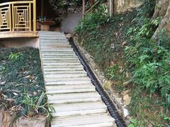 -灵光寺