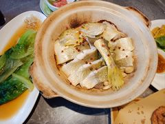 -1937青岛老味道·海肠捞饭·青岛菜(大鲍岛栈桥店)