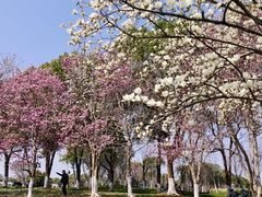 -凤凰沟景区