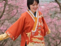 -新建村梅花