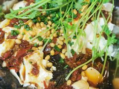 豆花烤洞鱼-锅贴杨一手特色豆花烤鱼饭店(荔波美食街店)