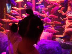 -沈阳海洋探索中心