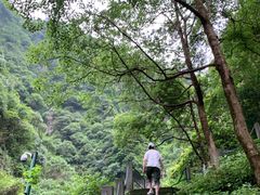 -宁波五龙潭景区