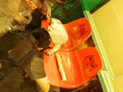 -猫咪博物馆(顶澳仔猫街店)