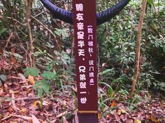 -西双版纳基诺山寨