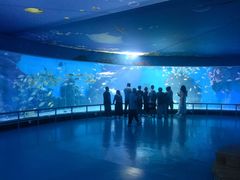 -泉城欧乐堡海洋极地世界