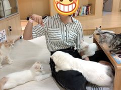 -猫和宫(六道口店)