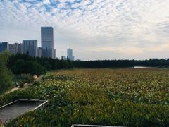 -艾溪湖湿地公园