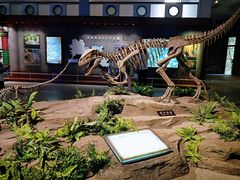 -自贡恐龙博物馆