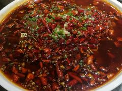 -庆合府重庆大排档(紫都城店)