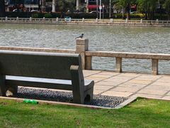 -厦门白鹭洲公园