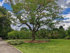 -中国科学院西双版纳热带植物园