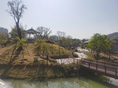 -王借岗森林公园