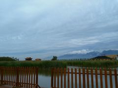 -哈素海